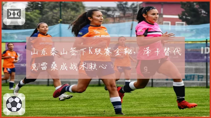 山东泰山签下K联赛金靴，泽卡替代克雷桑成战术核心