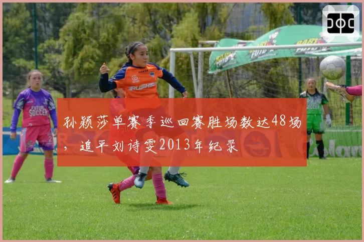 孙颖莎单赛季巡回赛胜场数达48场,追平刘诗雯2013年纪录