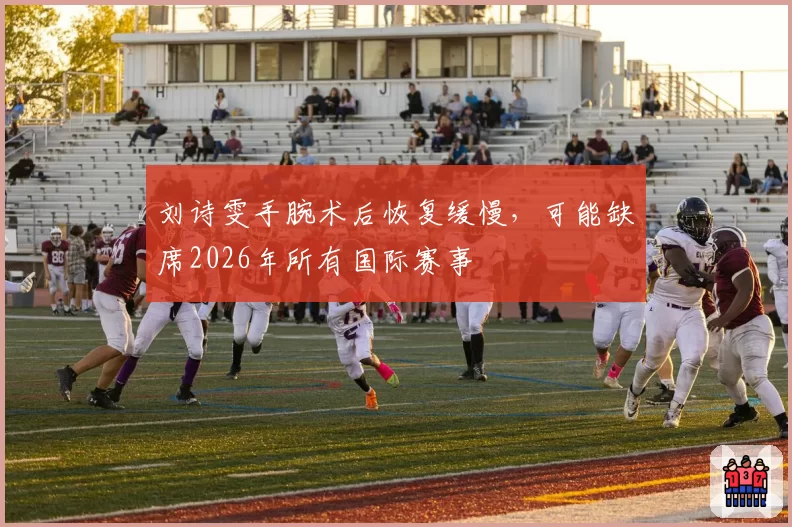 刘诗雯手腕术后恢复缓慢,可能缺席2026年所有国际赛事
